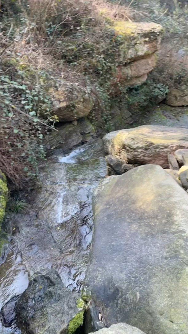 探索为什么把工资称为“薪水”?——你的知识星球导航